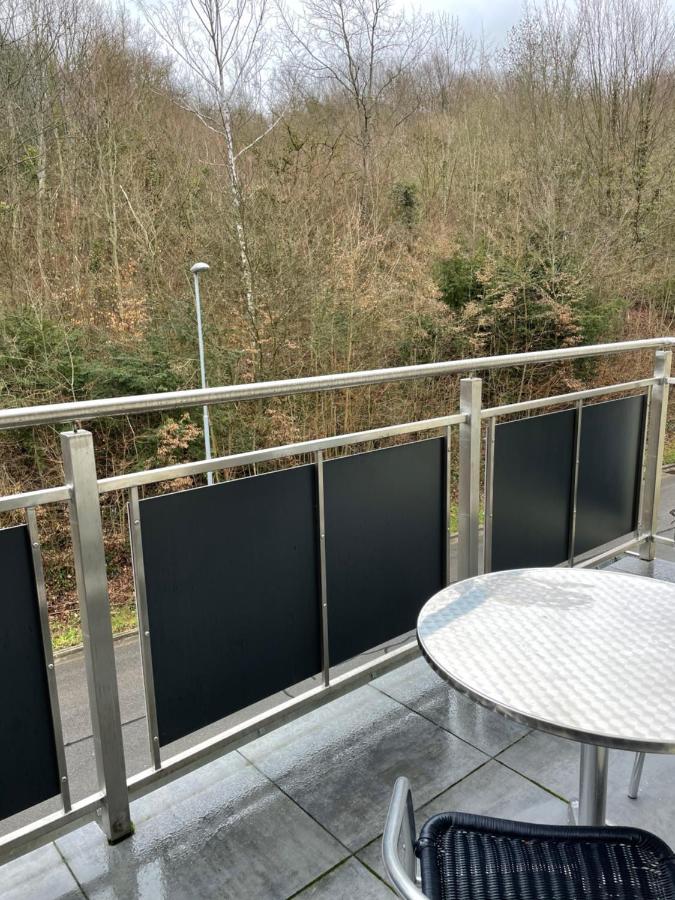 Ferienwohnung Mit Waldblick Leimen  Extérieur photo
